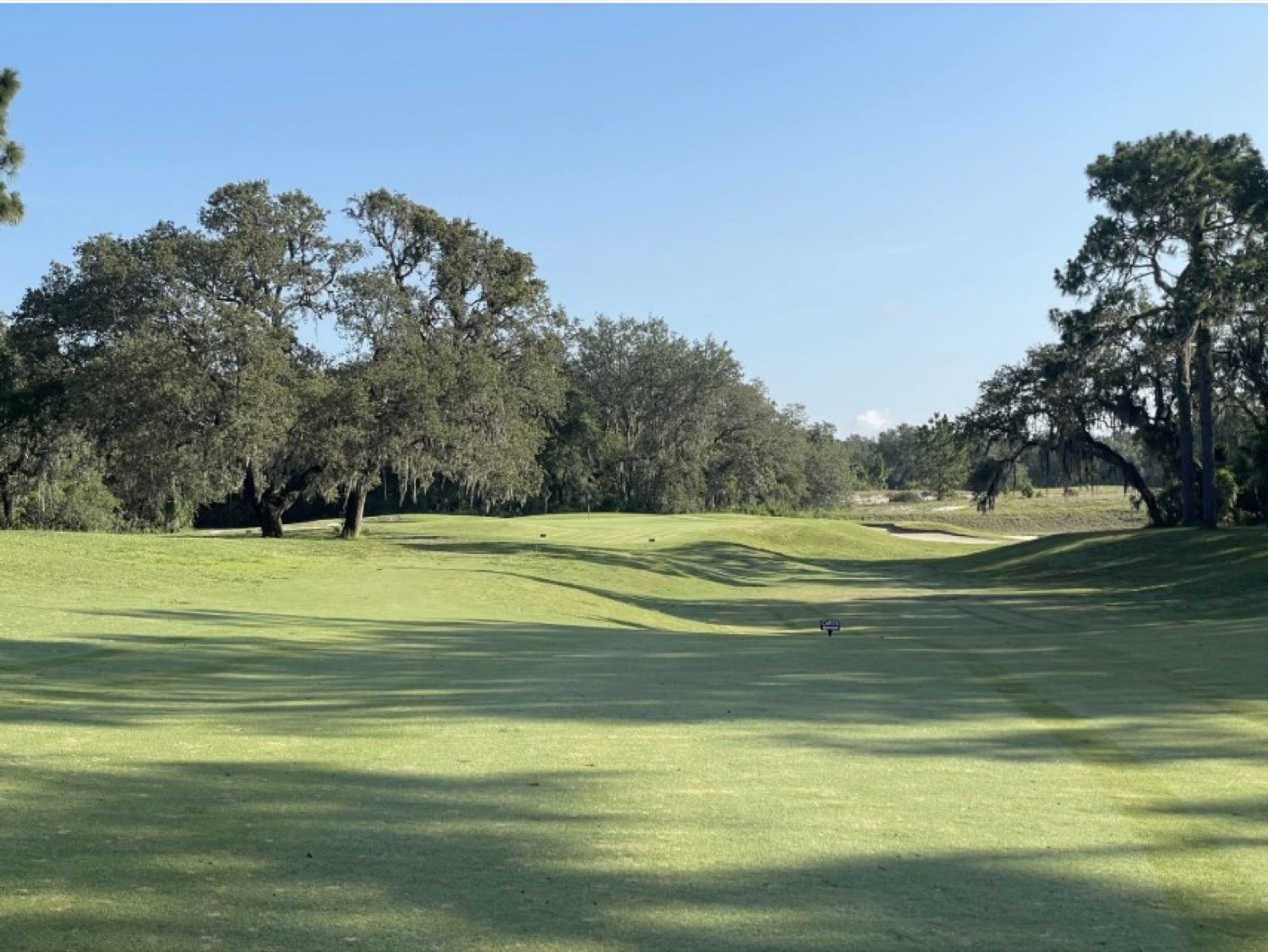 The Golf Course